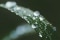 Dew Point